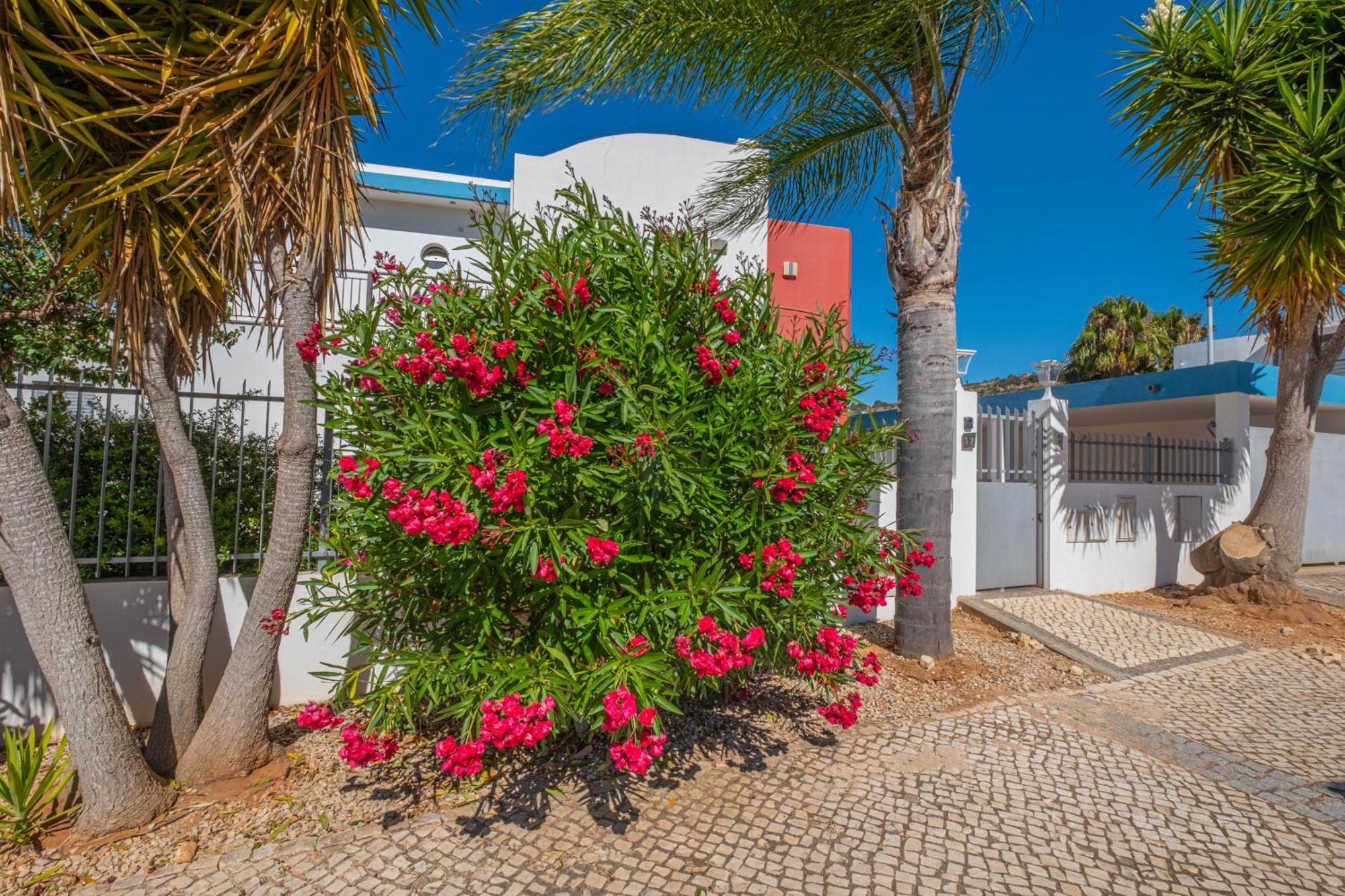 Capetown Marina Luxury Villa - Private Pool Albufeira Dış mekan fotoğraf